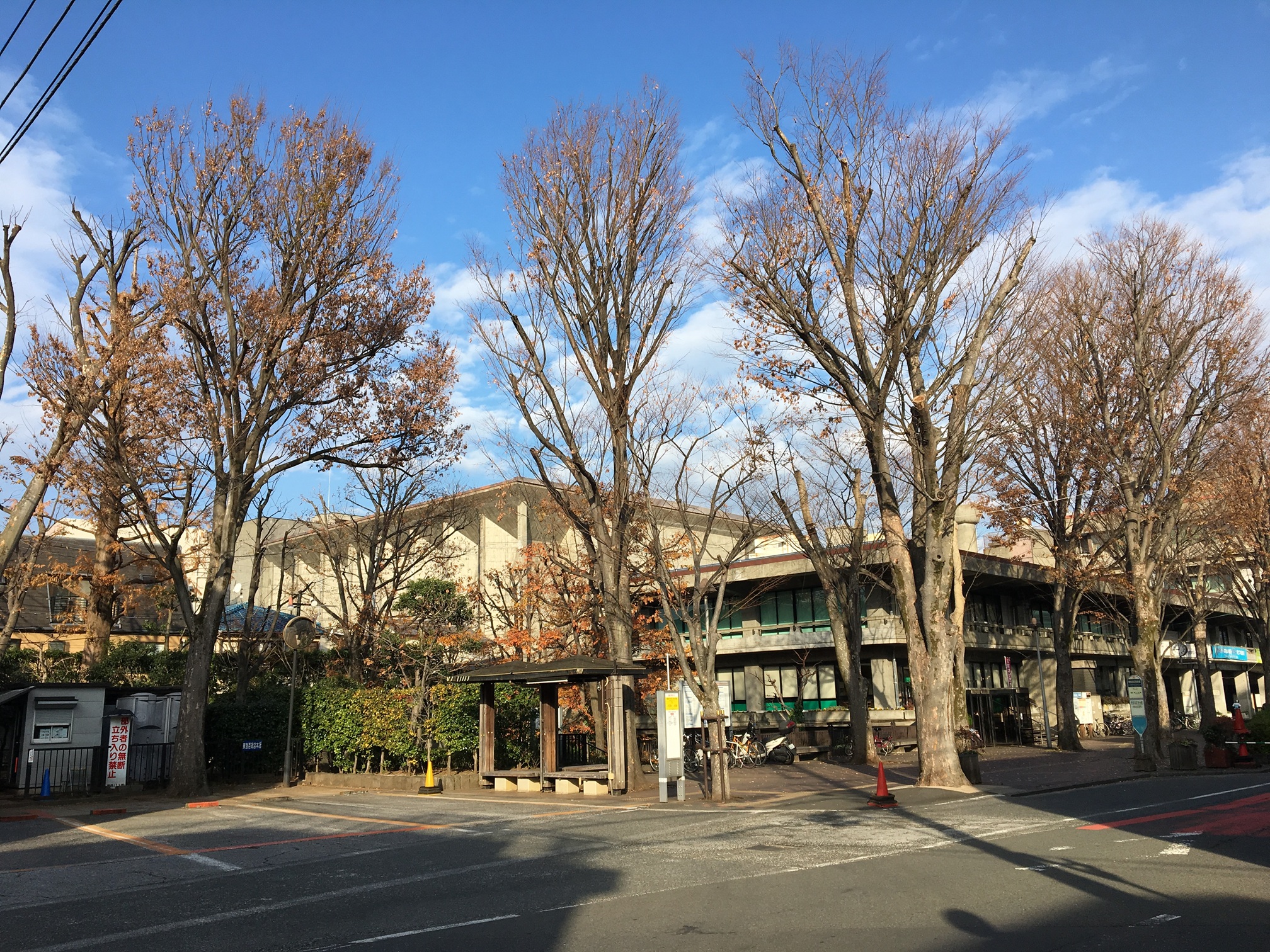 改修前の欅並木と区施設